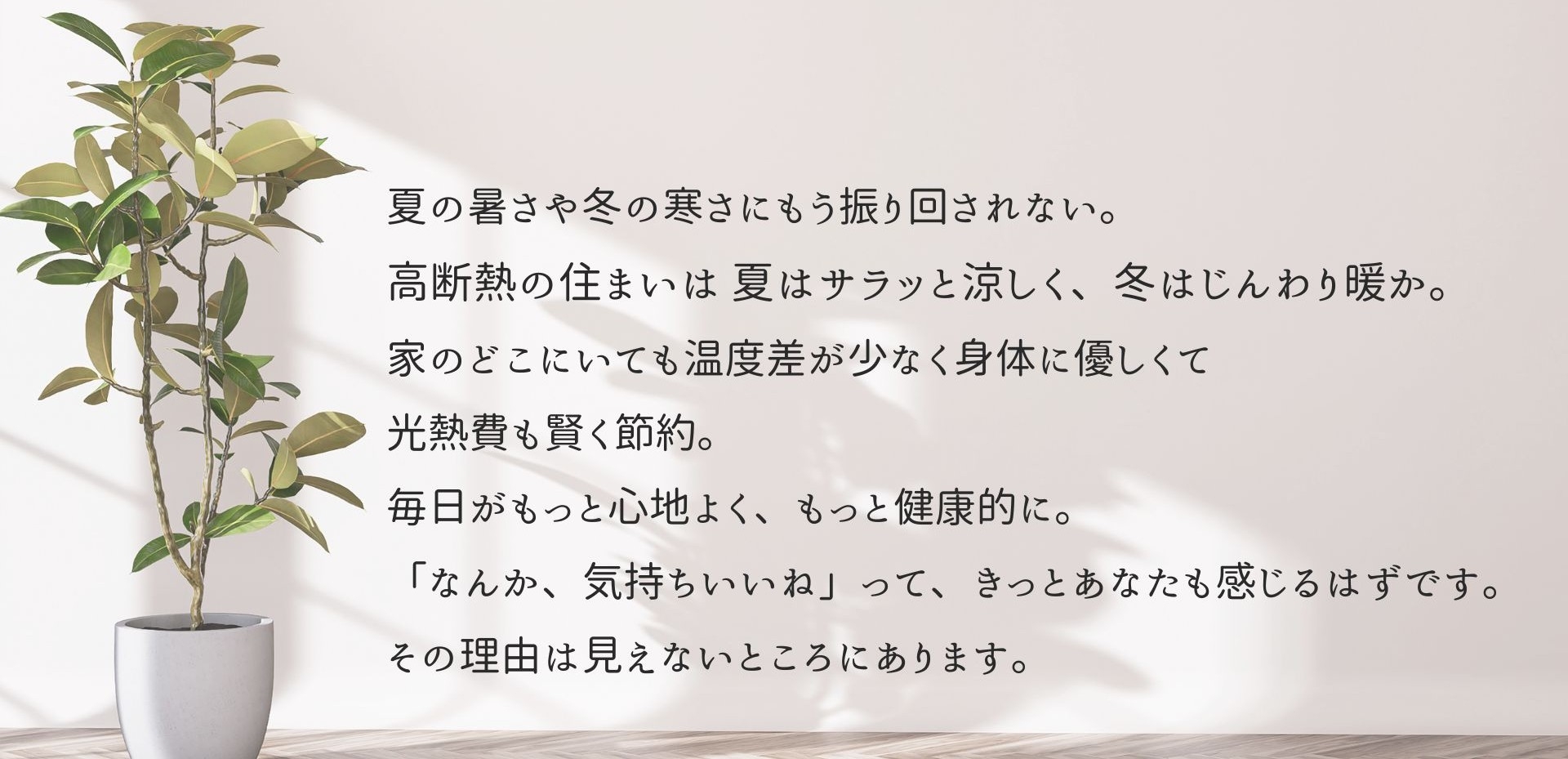 dannetsu1.jpg